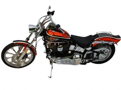 Mudfish Chrome Painted Harley Davidson